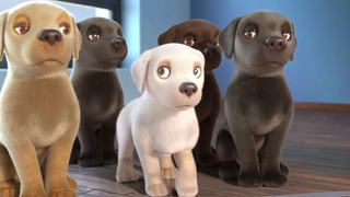การ์ตูนสั้น หมาน้อยผู้กล้าหาญ 🐶 - เต็มเรื่อง HD การ์ตูน อนิเมชั่น สนุกๆ ข้อคิดดีๆ