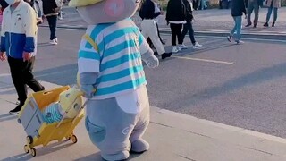 Ayo, kamu memang ditakdirkan untuk bertemu denganku! "Lucu" Zhang Daren, Beruang Bahagia, "Imut"