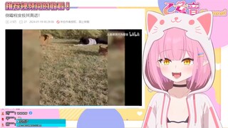 【乙女音】看倒霉程度及其离谱（用雌小鬼皮就更显得嘲讽了）