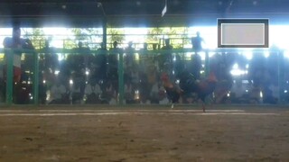 1st fight LGB win