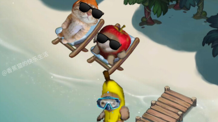 The Contaminated Banana Cat