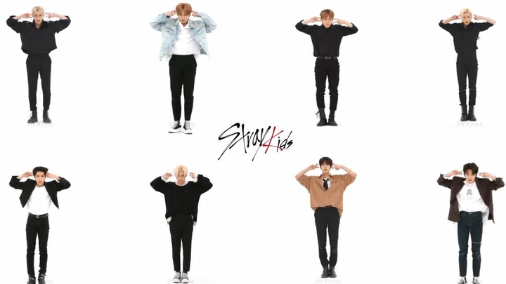 【成员舞蹈同屏对比】Stray Kids新曲 MANIAC Weekly Idol FanCam