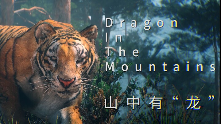 山中遇猛虎，这次十死无生，结果……《异形大战包龙图》剧场版：山中有龙