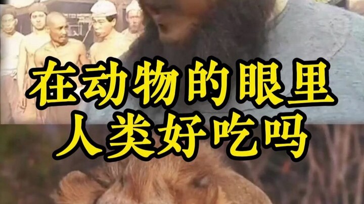Dalam pandangan hewan, apakah manusia terasa enak?