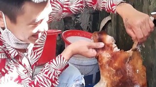 Thịt Chó Nấu Riềng Mẻ Và Xào Sả Ớt.ở nhà ngon không kém gì nhà hàng. Biển Nguyễn ngọc.