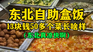 What does a 13 RMB self-service lunch box from Northeast China with over 50 dishes look like? (It's 