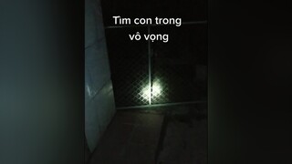 Ai thấy con cho mình xin chuộc về ạ. cunyeucuadua yeucho yeuchomeo cún cúncon chó chómèo chócon chókhôn yeuchomeo pet dogsoftiktok