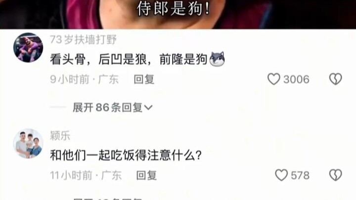 Apakah serigala atau anjing (Pengawal Tinggi adalah anjing)