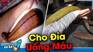 7 Trò Chơi và Sở Thích Kỳ Lạ và Khó Hiểu Nhất Thế Giới…Chỉ Có 1% Trong 7 Tỷ Người |KHÁM PHÁ ĐÓ ĐÂY