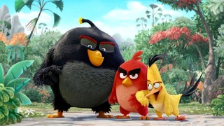 Angry Bird - chú chim giận dữ Hanz