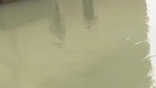 父慈子孝的抄鱼过程！