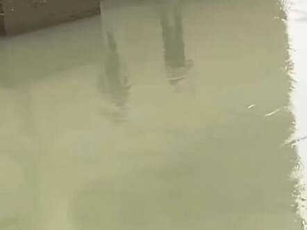 Proses menyalin ikan yang penuh kasih sayang antara ayah dan anak!