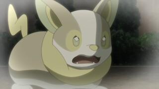 Pokemon Tập 1119: Dòng Điện Ghen Tị! Cảm Xúc Của Wanpachi