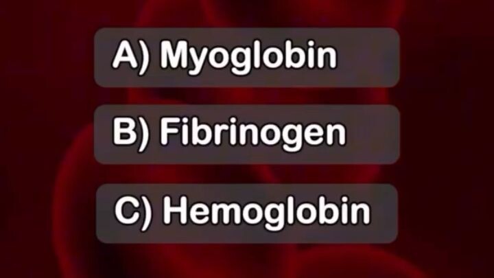 🧠 Human Anatomy Quiz | Can You Score 5/5? 🔥