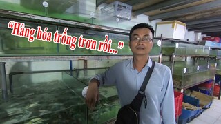 A Đông Du Kí phát hành phiếu mua hải sản xót xa khi nhìn bên trong vựa hải sản trống trơn vì hết vốn