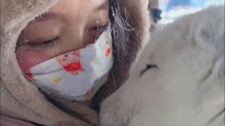 I'm so nervous—this is the first time a fox has licked me!