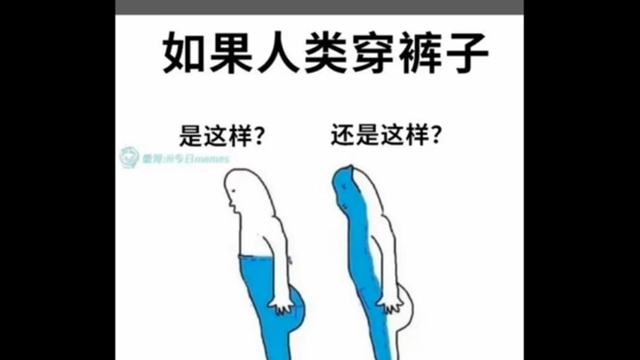 ภาพมีมสุดฮา | มนุษย์จะใส่กางเกงยังไงดี?