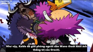 Tại sao Kaido muốn trở thành Joy Boy và muốn đánh thức Joy Boy-P5