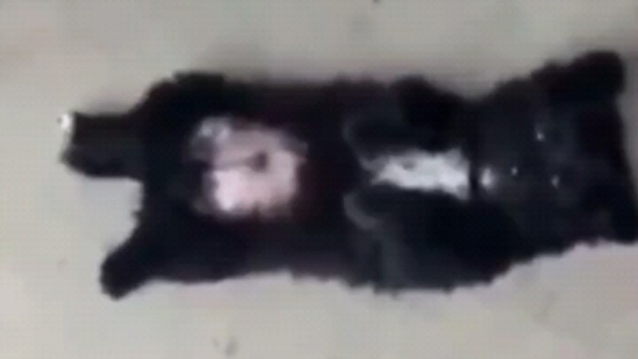 เผ็ดเกินไปแล้ว