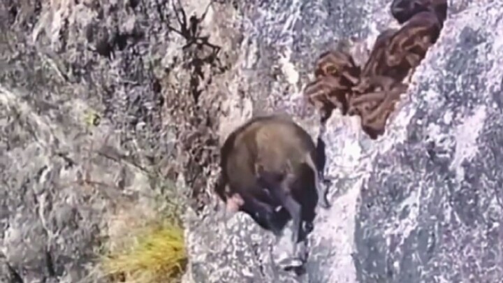 Actually, it's not that steep.