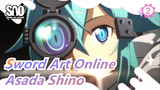 [Sword Art Online] Asada Shino: Then Just Keep Protecting For a Lifetime_2