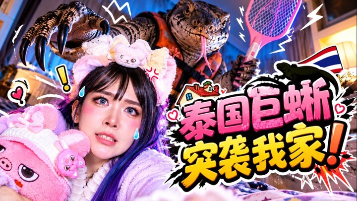 今天早上在泰国曼谷的家里，突然冲进来一只超大的巨蜥！真的把我吓哭了😭在泰国经常能看到这种巨蜥，但这么大还是第一次进家门！#泰国巨蜥 #泰国日常求一键三连，弹幕告诉我你们敢不敢抓它！