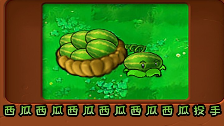 New Plant: Watermelon Pitcher, Watermelon, Watermelon, Watermelon