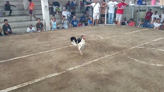 panuksukan