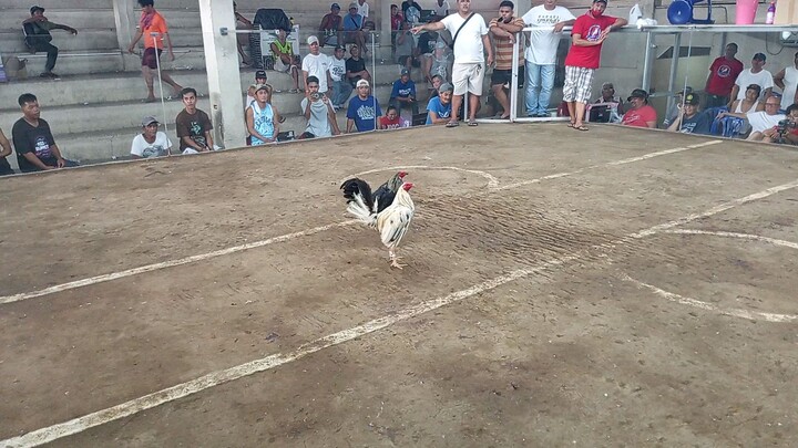 panuksukan