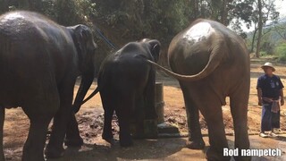 ช่วงนี้อากาศมันร้อนต้องอาบน้ำบ่อยๆ💦