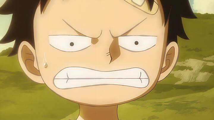 Luffy yang Menjijikkan (Edisi Lanjutan)