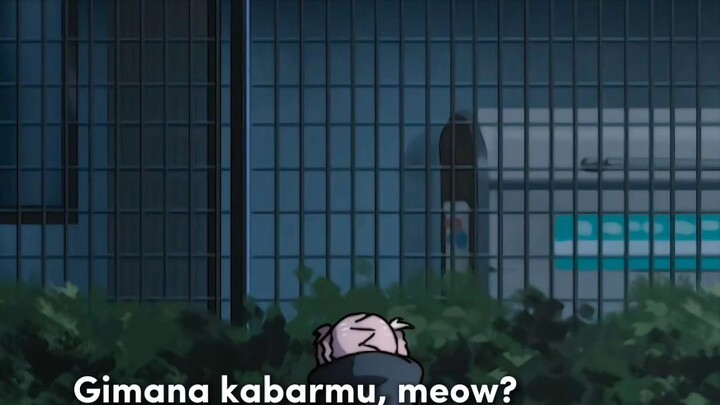 Pov ketika ketemu kucing di jalan☺️