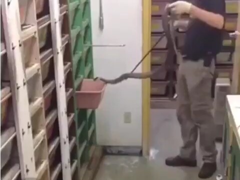 That guy is way too calm.