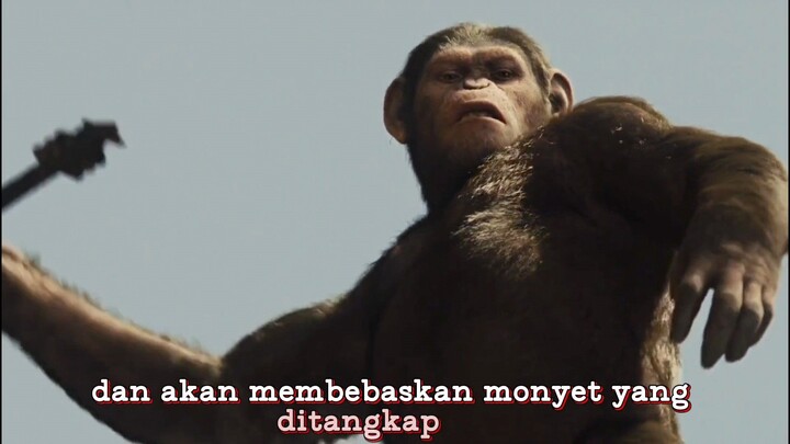 Rise of the planet of the apes | part 4