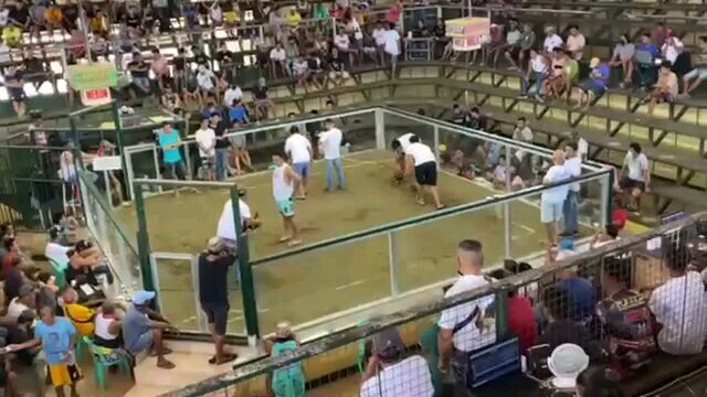 1stfyt 2hits ulutan