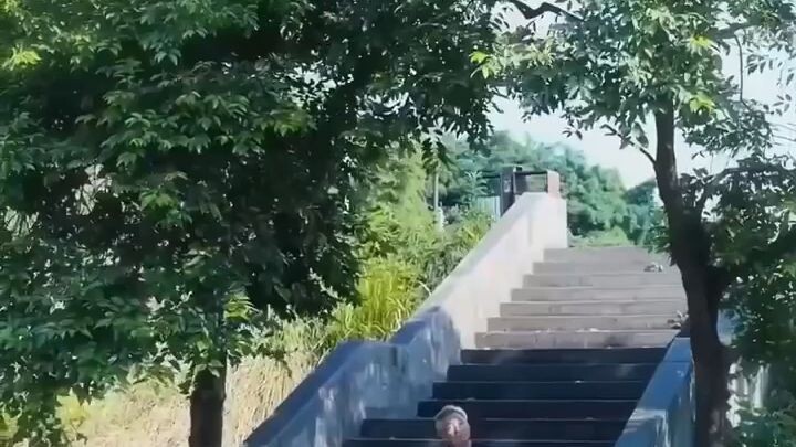 เกิดใหม่มาพร้อมกับความรวย