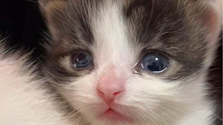 Kotak misteri: Aku buka, tapi belum benar-benar terbuka sepenuhnya.