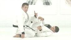 Excerpt from Tutorial “AOJ - Long Step Masterclass by Tainan Dalpra [2023]”