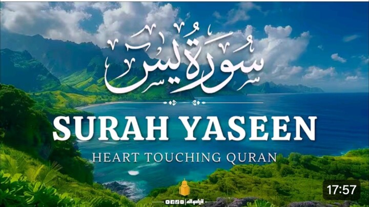 Surah Yasin | Surah Yaseen  | Quran Tilawat 🤍📖