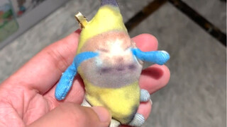 Even my happy cat dares to step on it—don't you value your life!