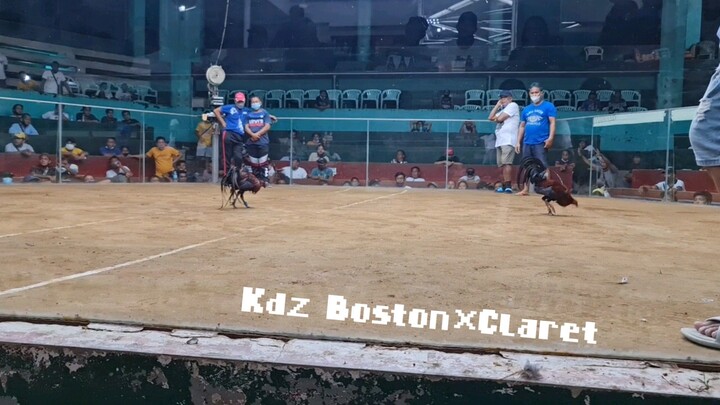 KDZ Boston×Claret Signature Lines Kdz Gamefarm (Kdz gf sa fb)