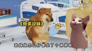 当你想要一个妹妹，妈妈却给你生了个弟弟时！