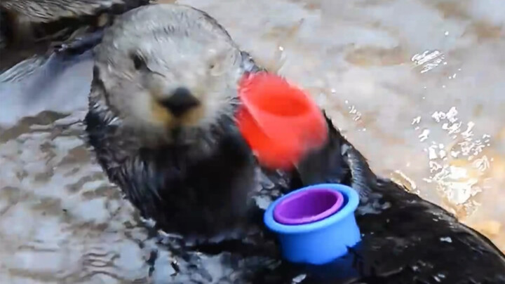 Siapa anak paling pintar di taman kanak-kanak?