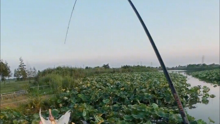 Siapa yang menyangka memancing bisa mendapatkan benda ini