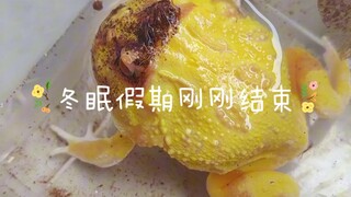 New decompression video (Huai Min has not slept yet)
