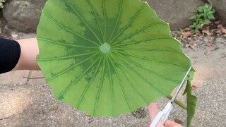 趣味实验，大雷治愈。