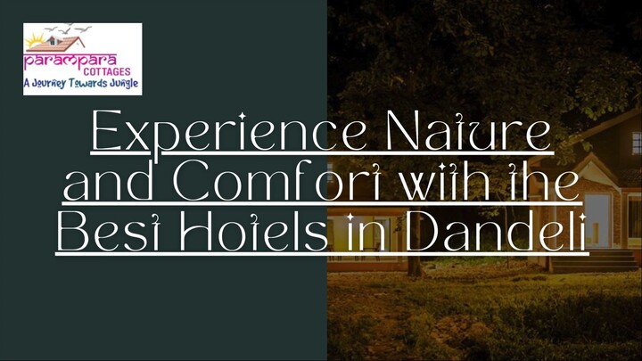 Experience Nature and Comfort with the Best Hotels in Dandeli