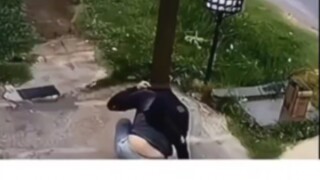 Pemiliknya mencabut gugatannya setelah membacanya😂😂