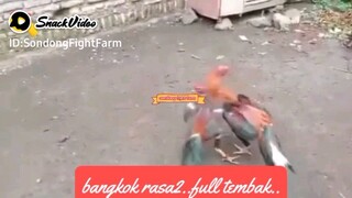 bangkok rasa2..full tembak masseee..