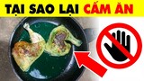 1001 Món Ăn Vặt Và Sự Thật Khủng Khiếp Qua 15 Câu Đố Này | Nhanh Trí